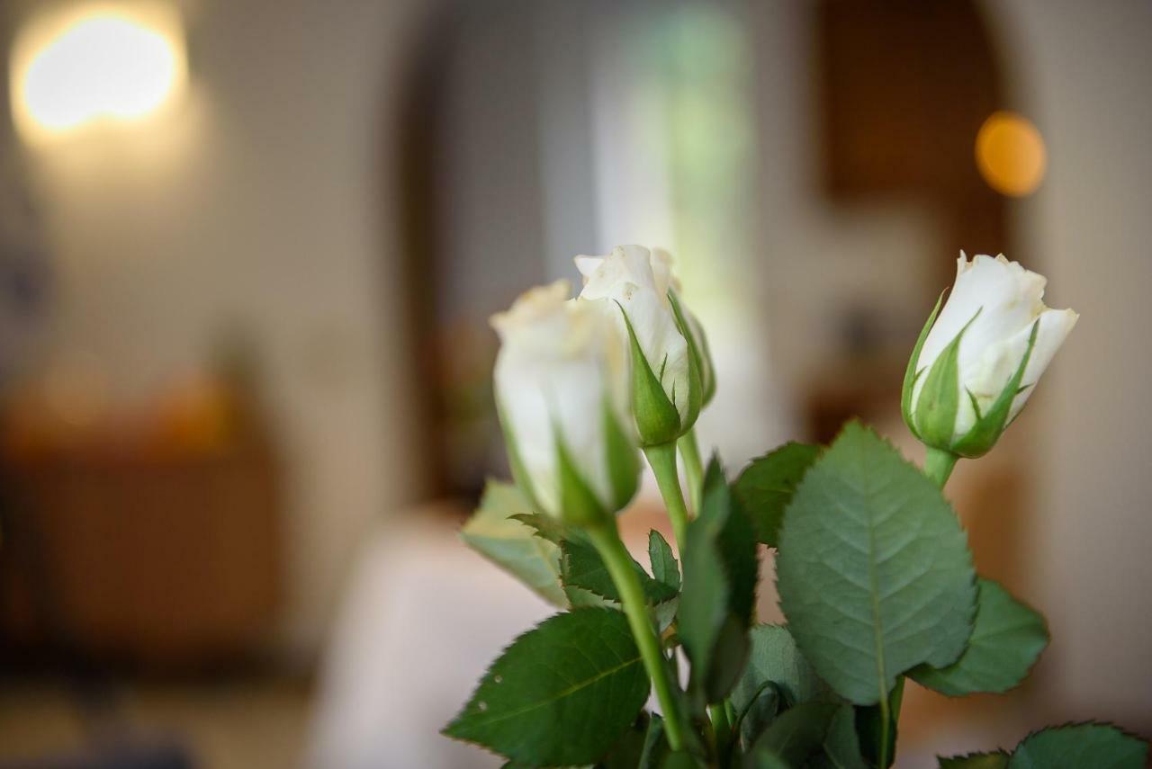 Bed&Breakfast Sweet Home Tirano Buitenkant foto